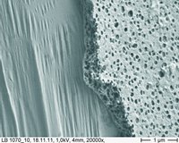 Die REM-Aufnahme macht das aufgebrachte Schutzpolymer (Abbruch) auf einem verzinkten Substrat sichtbar. Die REM-Aufnahme macht das aufgebrachte Schutzpolymer (Abbruch) auf einem verzinkten Substrat sichtbar.