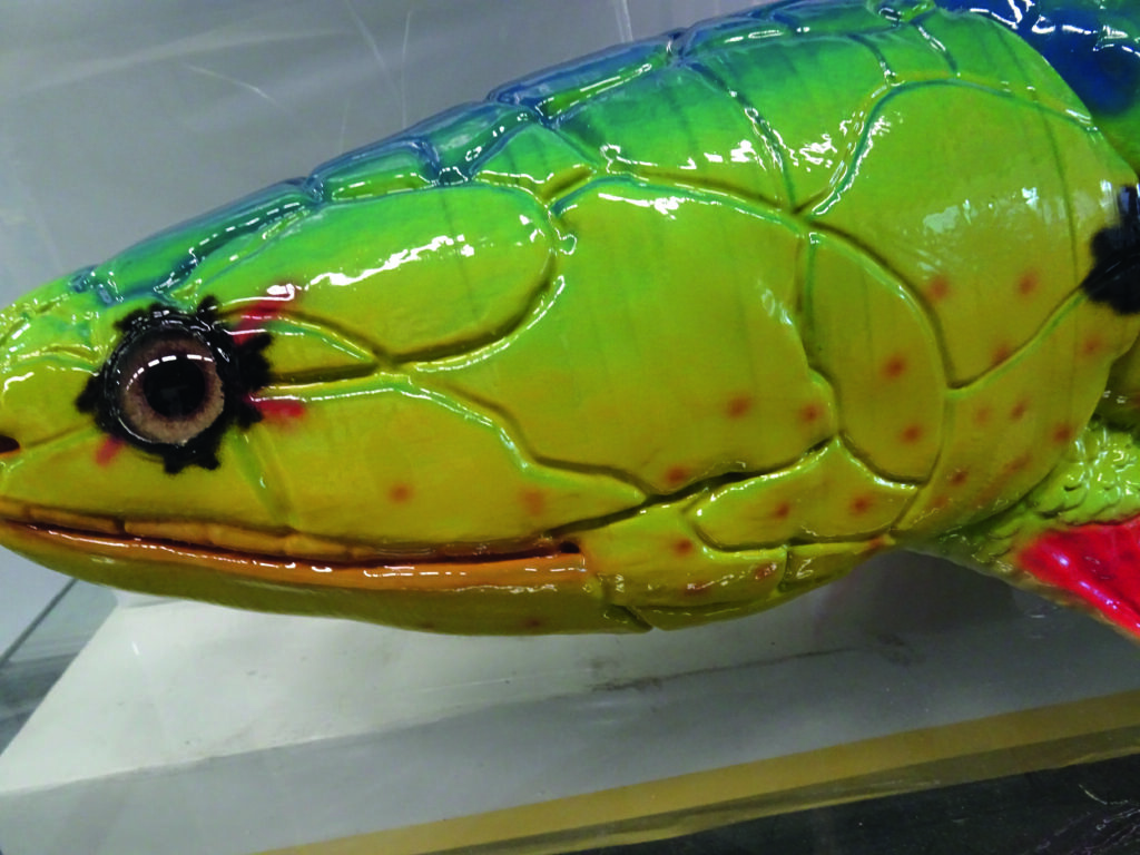 Lackiertes Modell eines Dino-Kopfes